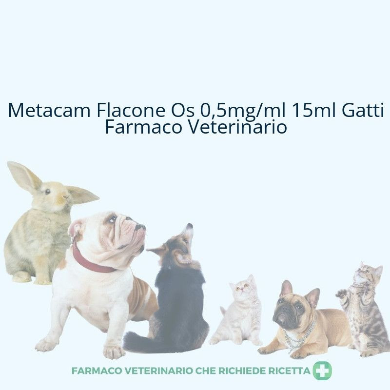 Guida All Uso Degli Antinfiammatori Per Gatti Scelta Efficacia E Durata Piatti Ricchi