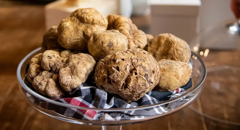 Guida Completa Al Tartufo Bianco Scopri I Segreti Della Sua